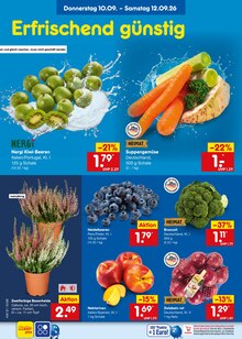 Brötchen im Netto Marken-Discount Prospekt "Aktuelle Angebote" mit 73 Seiten (Mönchengladbach)