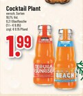 Tequila Sunrise Angebote von Cocktail Plant bei Trinkgut Gelsenkirchen für 1,99 €
