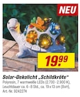 Solar-Dekolicht "Schildkröte" Angebote bei toom Baumarkt Erkrath für 19,99 €