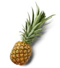 Costa-rican Ananas, lose Angebote bei Kaufland Remscheid für 1,79 €