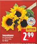 Sonnenblumen für 2,99 € bei E center im Angebot Sonnenblumen im aktuellen E center Prospekt
