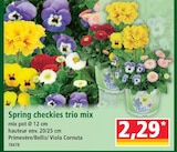 Promo Spring checkies trio mix à 2,29 € dans le catalogue Norma à Thionville