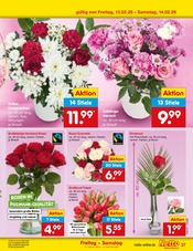 Aktueller Netto Marken-Discount Prospekt mit Tulpen, "Aktuelle Angebote", Seite 47