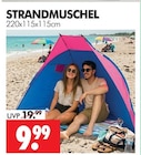 Aktuelle Zelt Angebote bei Wreesmann in Cottbus Aktuelles STRANDMUSCHEL Angebot bei Wreesmann in Cottbus ab 9,99 €