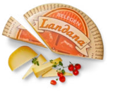 Kaufland - Gouda pikant Angebot im Prospekt Gouda pikant bei Kaufland im Prospekt "" für 0,89 €