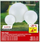 Solar-Kugel Angebote von toom bei toom Baumarkt Darmstadt für 4,99 €