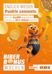 OBI Prospekt für Wernberg-Köblitz mit 4 Seiten OBI Prospekt für Wernberg-Köblitz: BIBER BONUS WOCHEN, 4 Seiten, 28.10.2022 - 30.11.2022