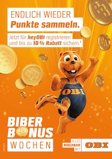 31+ Angebote Bei Obi Diese Woche, Nutzen sie die filter, um die