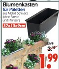 Aktuelles Blumenkasten für Paletten Angebot bei Wreesmann in Dresden ab 1,99 €
