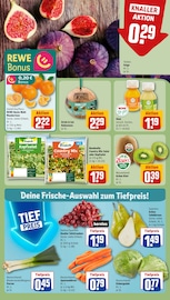 Ähnliche Angebote wie Zucchini im Prospekt "Dein Markt" auf Seite 10 von REWE in Bielefeld
