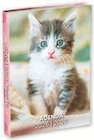 Promo Agenda scolaire à 3,49 € dans le catalogue Hyper U à Colmar