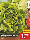 Kopfsalat mit Wurzel Angebote bei Netto Marken-Discount Bochum für 1,29 €