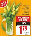 Tulpen von GUT&GÜNSTIG im aktuellen E center Prospekt