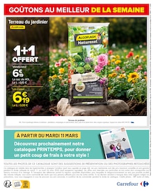 Prospectus Carrefour à Villeurbanne, "Carrefour", 67 pages de promos valables du 11/03/2025 au 24/03/2025