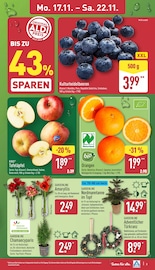 Aktueller ALDI Nord Prospekt mit Bio, "Aktuelle Angebote", Seite 3