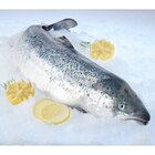 Saumon Atlantique entier ASC FILIERE QUALITE CARREFOUR - FILIERE QUALITE CARF - Carrefour à Nice Saumon Atlantique entier ASC FILIERE QUALITE CARREFOUR - FILIERE QUALITE CARF en promo chez Carrefour Nice à 9,99 €