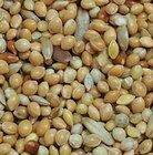 Premium Wellensittichfutter bei Kiebitzmarkt im Prospekt "" für 3,00 €