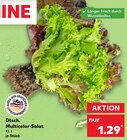 Kaufland - Dtsch. Multicolor-Salat Angebot im Prospekt Dtsch. Multicolor-Salat bei Kaufland im Prospekt "" für 1,29 €