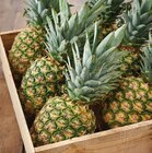 Ananas à Intermarché Contact dans Villebret