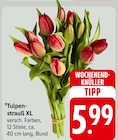 Tulpenstrauß XL Angebote bei E center Ulm für 5,99 €