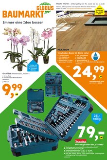 Pflanzen Angebot im aktuellen Globus-Baumarkt Prospekt auf Seite 1