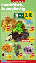 Obst im Penny Prospekt in Dortmund Aktueller Penny Prospekt mit Obst, "Wer günstig will, muss Penny.", Seite 4