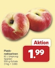 famila Nordwest Damme - Plattnektarinen Angebot im Prospekt Plattnektarinen bei famila Nordwest im Damme Prospekt für 1,99 €