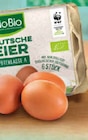 Bio Eier bei Netto Marken-Discount im Borken Prospekt für 2,79 €