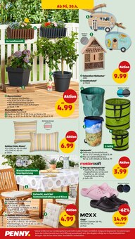 Blumentopf im Penny Prospekt "Wer günstig will, muss Penny." mit 41 Seiten (Heilbronn)