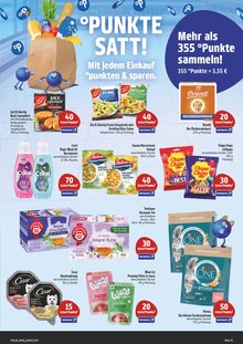 Katzenfutter im E center Prospekt "Wir lieben Lebensmittel!" mit 28 Seiten (Dresden)