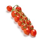 Mini-Pflaumenrispentomaten  im aktuellen Netto mit dem Scottie Prospekt für 2,39 €