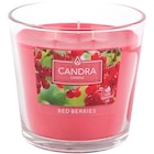 Bougie parfumée Candra - Candra - Action à Stains Bougie parfumée Candra - Candra en promo chez Action Stains à 3,49 €