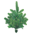 Aktuelles Handbunde Nobilistanne Angebot bei Thomas Philipps in Cottbus ab 2,22 €