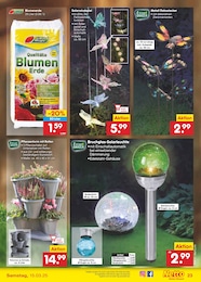 Blumenerde Angebot im aktuellen Netto Marken-Discount Prospekt auf Seite 35