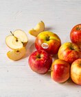 Bio-Äpfel von demeter tegut... im aktuellen basic Prospekt