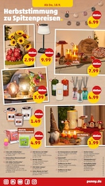 Lichterkette im Penny Prospekt in Recklinghausen Aktueller Penny Prospekt mit Lichterkette, "Wer günstig will, muss Penny.", Seite 25