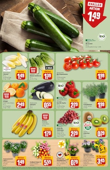 Tomaten im REWE Prospekt "Dein Markt" mit 34 Seiten (Berlin)