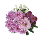 Kleiner Blütenzauber Angebote bei Lidl Bielefeld für 2,99 €