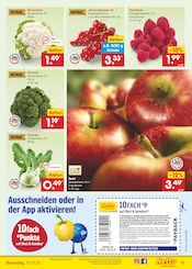 Blumenkohl im Netto Marken-Discount Prospekt in Magdeburg Aktueller Netto Marken-Discount Prospekt mit Blumenkohl, "Aktuelle Angebote", Seite 13