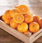 Promo Mandarine bio à 1,99 € dans le catalogue Intermarché à La Farlède