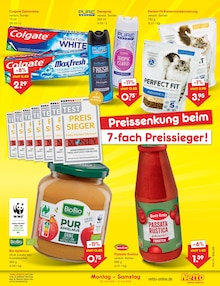 Deo Spray im aktuellen Netto Marken-Discount Prospekt (Bielefeld) Deo Spray im Netto Marken-Discount Prospekt "Aktuelle Angebote" mit 65 Seiten (Bielefeld)