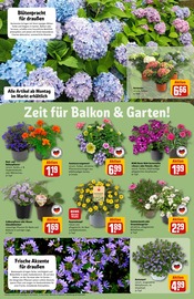 Saft im REWE Prospekt in Bensheim Aktueller REWE Prospekt mit Saft, "Dein Markt", Seite 8