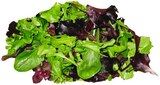 Wildkräuter Salat bei REWE im Husum Prospekt für 1,11 €