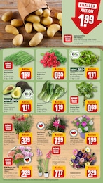 Blumen Angebot & Preis im aktuellen REWE Prospekt Blumen Angebot im aktuellen REWE Prospekt auf Seite 7