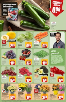 Pflanzen im aktuellen REWE Prospekt (Bielefeld) Pflanzen im REWE Prospekt "Dein Markt" mit 28 Seiten (Bielefeld)