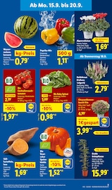 Blumen im Lidl Prospekt in Witten Aktueller Lidl Prospekt mit Blumen, "LIDL LOHNT SICH", Seite 3