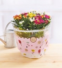 Chrysantheme carnaval ou classic en promo à 8,99 € chez Hyper U Chrysantheme carnaval ou classic dans le catalogue Hyper U