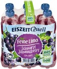 Feine Limo im Angebot bei REWE in Waiblingen Feine Limo Angebote von Eiszeit Quell bei REWE Waiblingen für 4,14 €