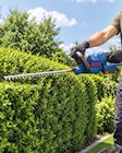 Aku-Heckenschere HS 18-201-05 von Güde für 64,99 € bei Netto Marken-Discount im Angebot Aku-Heckenschere HS 18-201-05 von Güde im aktuellen Netto Marken-Discount Prospekt