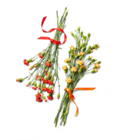 Spraynelken im aktuellen Kaufland Prospekt